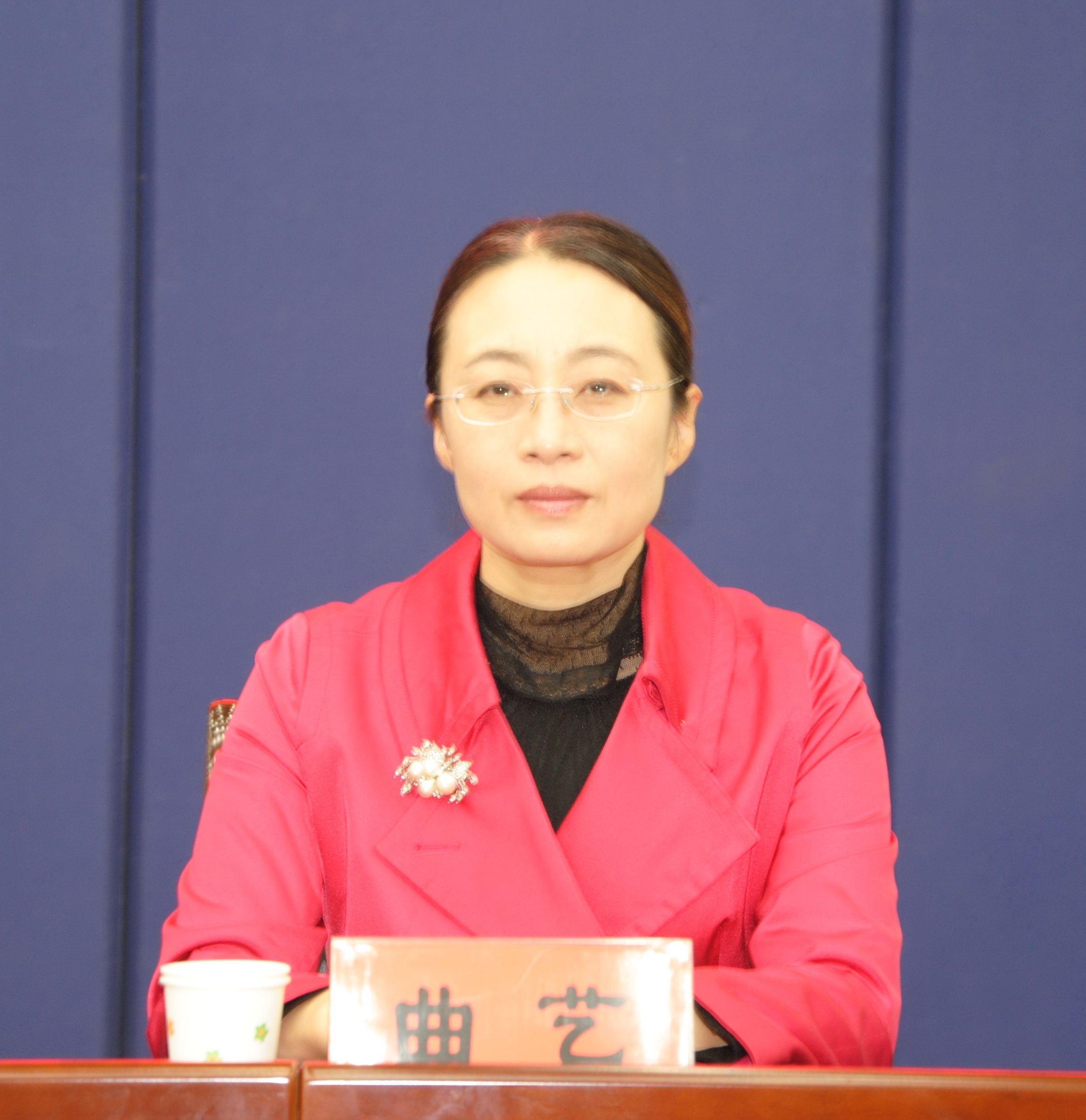 省社科联学术部部长曲艺出席会议.JPG