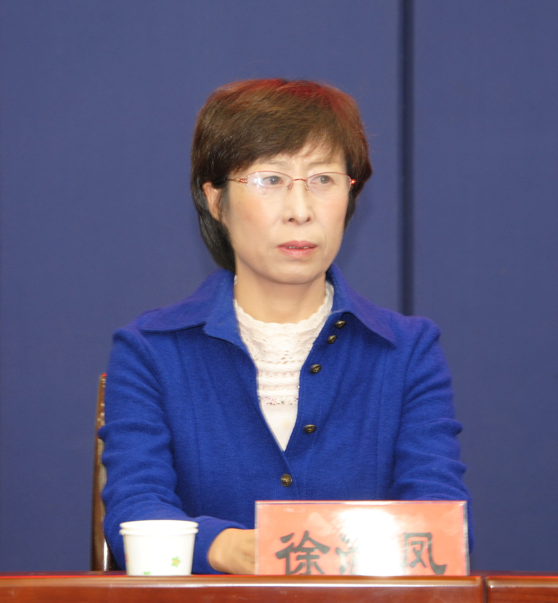 泰山医学院副院长、社科联主席徐淑凤出席会议.JPG