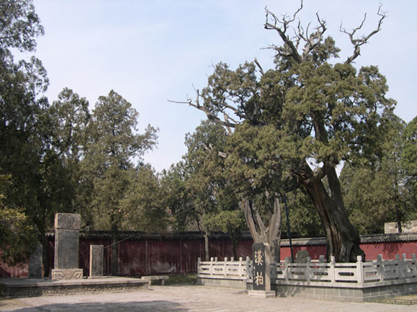 9103132234.jpg